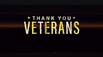 Thank You Veterans text word gold light animation video