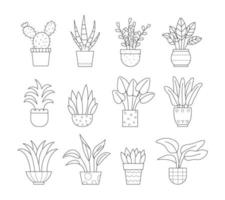 Set of house plants in the pots. Isolated vector linear illustration on white background.