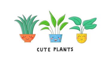 Cute home plants in pot with text. Cartoon funny characters. Vector illustration.