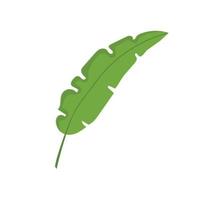tropical leaves doodle vector