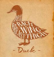 Poster duck cutting scheme lettering neck, back, wing, breast, thigh in retro style drawing craft background