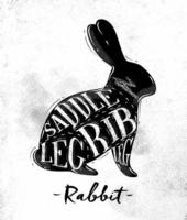 esquema de corte de conejo de afiche con letras de sillín, pierna, costilla en un dibujo de estilo vintage sobre fondo de papel sucio vector