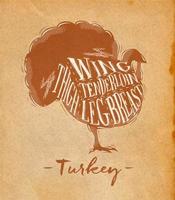 Poster turkey cutting scheme lettering wing, tenderloin, thigh, leg, breast in retro style drawing craft background vector