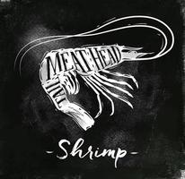 Poster shrimp cutting scheme lettering meat, head, tail in vintage style drawing with chalk on chalkboard background vector