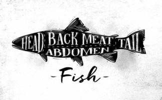 Poster fish cutting scheme lettering head, back meat, abdomen, tail in vintage style drawing on dirty paper background