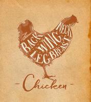 esquema de corte de pollo de afiche con letras de cuello, espalda, ala, pechuga, pierna en estilo retro dibujo de fondo artesanal vector