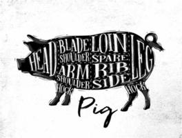 Poster pig pork cutting scheme lettering head, blade shoulder, arm shoulder, loin, spare rib, side, hock, leg in vintage style drawing on dirty paper background