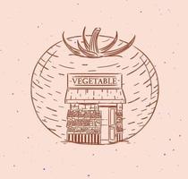 verduras de tomate una tienda de comestibles dibujando en estilo vintage sobre fondo de color melocotón vector