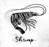 Poster shrimp cutting scheme lettering meat, head, tail in vintage style drawing on dirty paper background vector