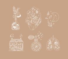 Set of floral art icons in hand made line style vase of flowers, woman face, moon, house, perfume bottle, human lungs drawing on cocoa color background vector