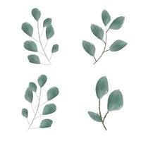 set of vector watercolor illustrations. A set of green leaves, herbs and branches. Elements of floral design. Perfect for wedding invitations, greeting cards, blogs, posters and more