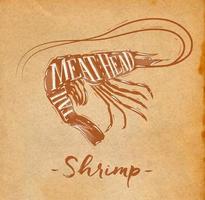 Poster shrimp cutting scheme lettering meat, head, tail in retro style drawing on craft background