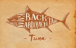 Poster tuna cutting scheme lettering cheek, kama, abdomen, back, tail in retro style drawing on dirty paper background vector