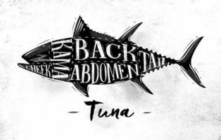 cartel esquema de corte de atún letras mejilla, kama, abdomen, espalda, cola en estilo vintage dibujo sobre fondo de papel sucio vector