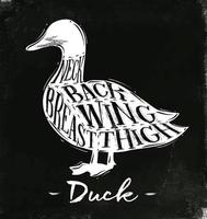 esquema de corte de pato de afiche con letras de cuello, espalda, ala, pecho, muslo en un dibujo de estilo vintage con tiza en el fondo de la pizarra vector