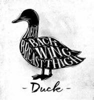 Poster duck cutting scheme lettering neck, back, wing, breast, thigh in vintage style drawing on dirty paper background vector
