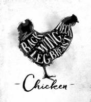 Poster chicken cutting scheme lettering neck, back, wing, breast, leg in vintage style drawing on dirty paper background vector