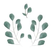 set of vector watercolor illustrations. A set of green leaves, herbs and branches. Elements of floral design. Perfect for wedding invitations, greeting cards, blogs, posters and more