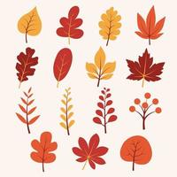 Set of autumn leaves. Isolated on a white background. Simple cartoon flat style. vector illustration.