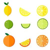 Collection of citrus products - orange, lemon, lime isolated on white background. Vector set of whole fruits and slices. Vector illustration