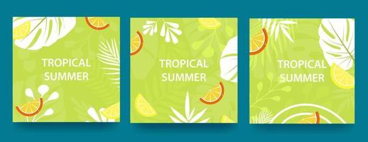 Set of advertising banners with tropical leaves, plants and citrus pieces. Announcement of a new collection, discounts on it, summer sale. Template for sale, advertising, web.