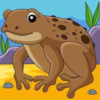 Cane Toad Frog Animal Colored Cartoon Illustration vector