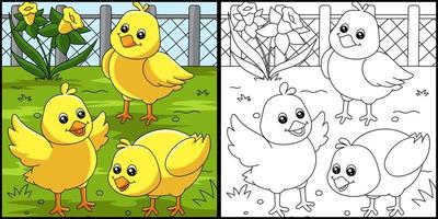 Chicks Coloring Page Colored Illustration vector