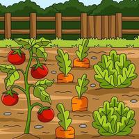 Vegetables Field Colored Cartoon Illustration vector