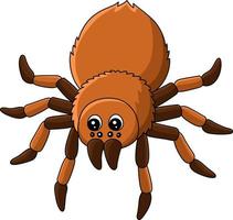 Wolf Spider Vector Art, Icons, and Graphics for Free Download Wolf Spider Vector Art, Icons, and Graphics for Free Download