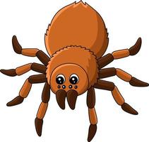 Tarantula Animal Cartoon Colored Clipart vector