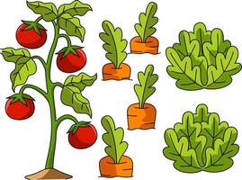 Vegetable Field Cartoon Colored Clipart vector