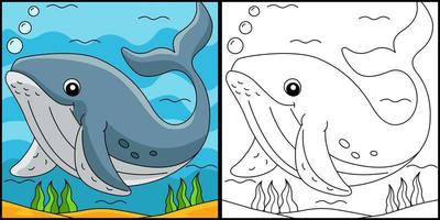 Humpback Whale Coloring Page Colored Illustration vector