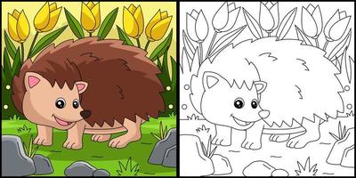 Hedgehog Coloring Page Colored Illustration vector