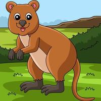 Quokka Animal Colored Cartoon Illustration vector