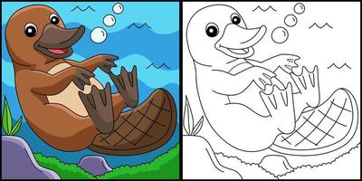 Platypus Animal Coloring Page Colored Illustration vector