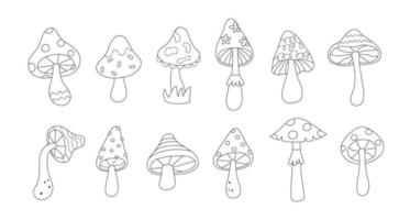 Collection of decorative mushrooms. Fungi icons. Vector illustrations in simple linear style.