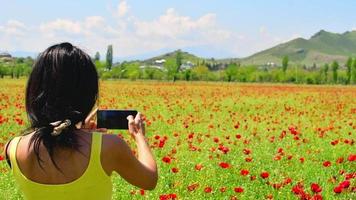 Jeune femme de race blanche prendre une photo avec un téléphone mobile belles montagnes fleuries fleur de pavot à l'extérieur en Géorgie