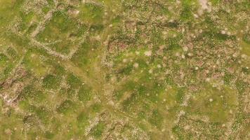 Aerial view Ani ruins archeological site textures and pathways. Heritage site of Armenian culture and history. Silk way road video