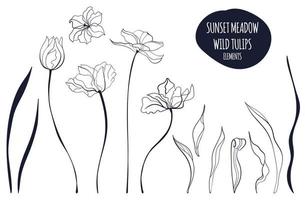 Tulip the line art illustration in the scandinavian style vector