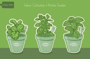 Food plants for kitchen garden, basil and spinach and oregano green hand drawn illustration vector