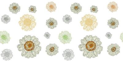 Chamomile flower botanical seamless pattern vector