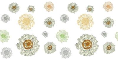 Chamomile flower botanical seamless pattern vector