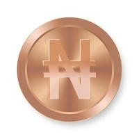 Bronze of Naira coin Concept of internet web currency vector