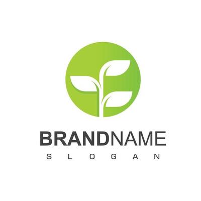 Circle Leaf Logo Design Template