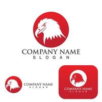 Eagle Bird  Logo Template vector