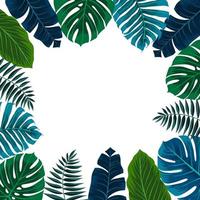 Tropical frame with banana leaves, monstera and palm leaves. Vector illustration. Perfect for postcards wedding invitations and posters.