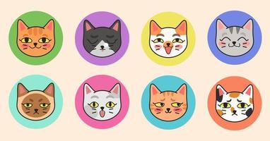 Cute vector illustration of different cat breeds. A set of cute cat portraits with different emotions in a cartoon flat style.