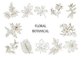 Hand drawn botanical set leaves and flowers for decoration.