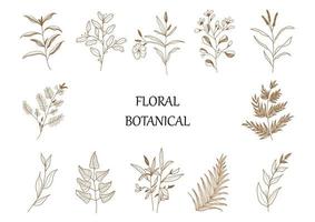 Hand drawn botanical set leaves and flowers for decoration. vector