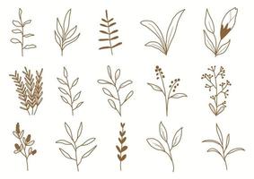 Hand drawn botanical set leaves and flowers for decoration. vector